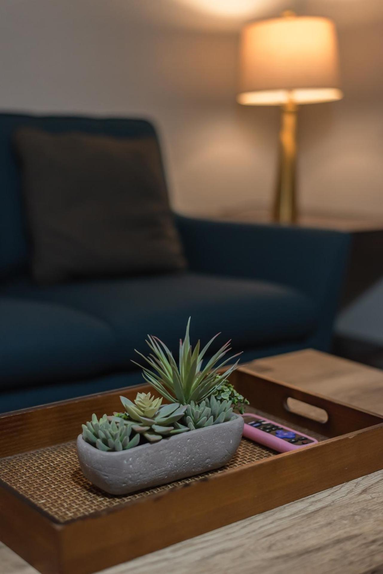 Beautiful Apartment At The Botanical Gardens #1 Сан Антонио Екстериор снимка